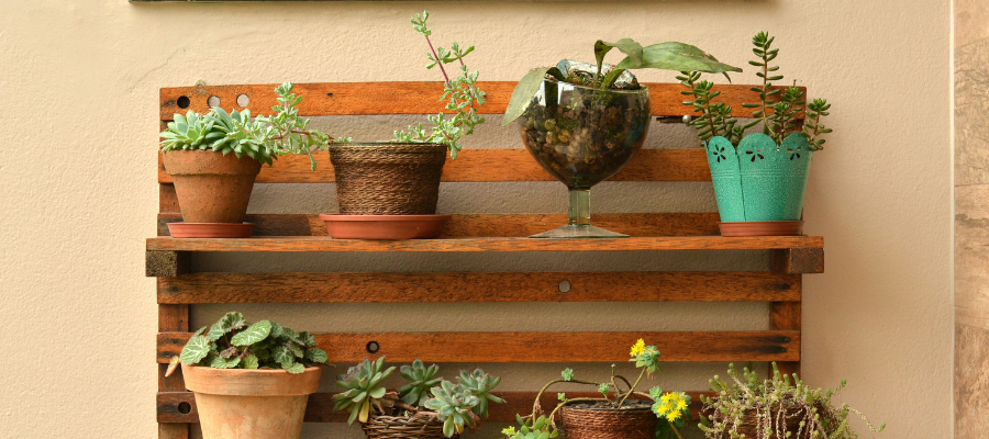 Wooden shelves on balcony filled with variations of plants.